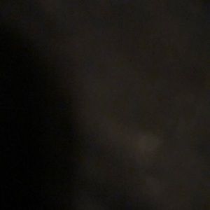 Meet your Posher, Addie lee